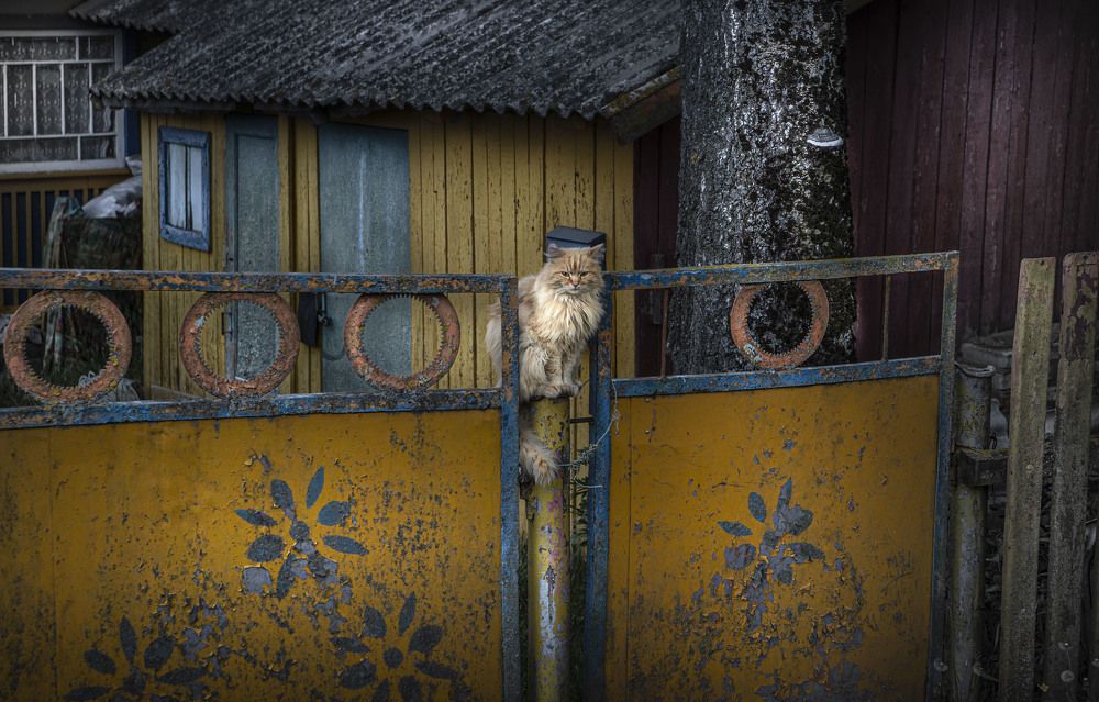 Photograph by Sergej