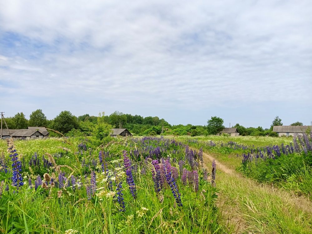 Photograph by Софья Галиновская