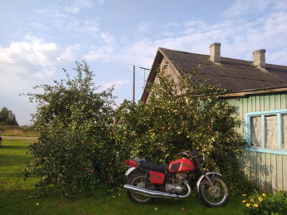 Photograph by Софья Галиновская