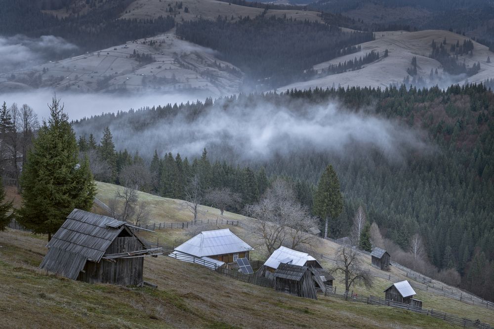 Photograph by Gabriela Vochescu