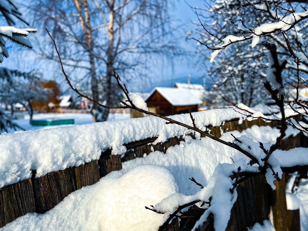 Photograph by Marina Levanov