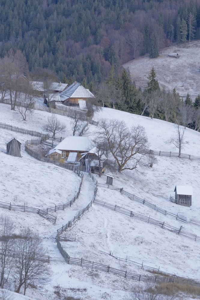 Photograph by Gabriela Vochescu