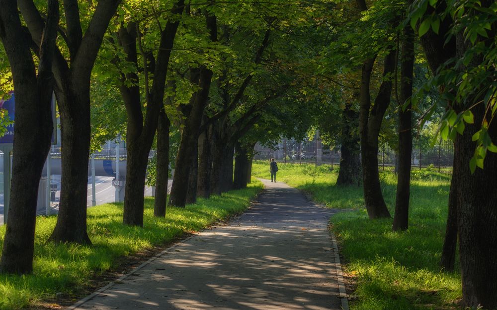 Photograph by Сергей Дишук