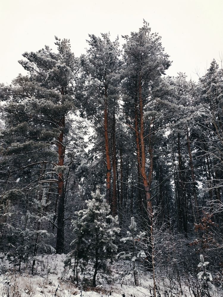 Photograph by Наталья Маслова