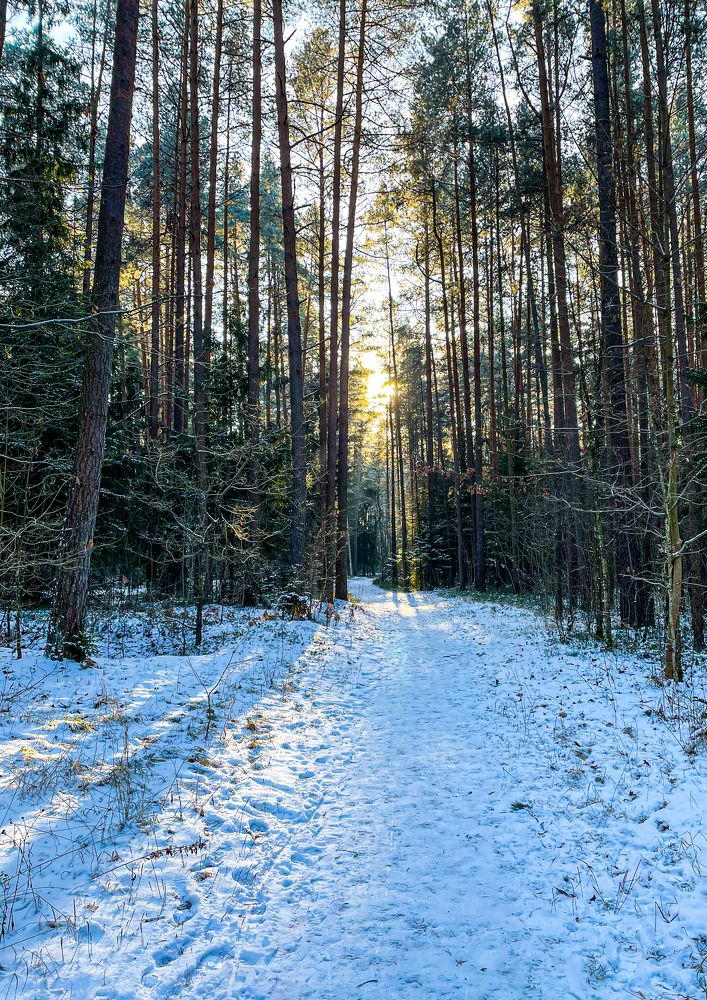 Photograph by Marina Levanov