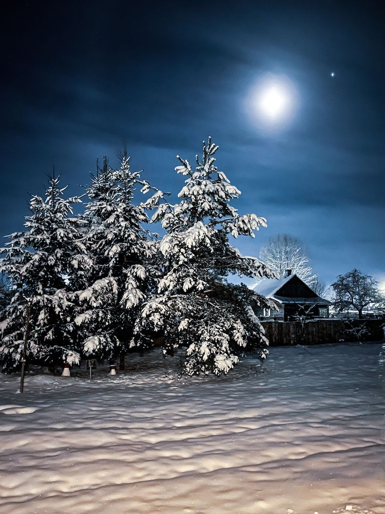 Photograph by Marina Levanov