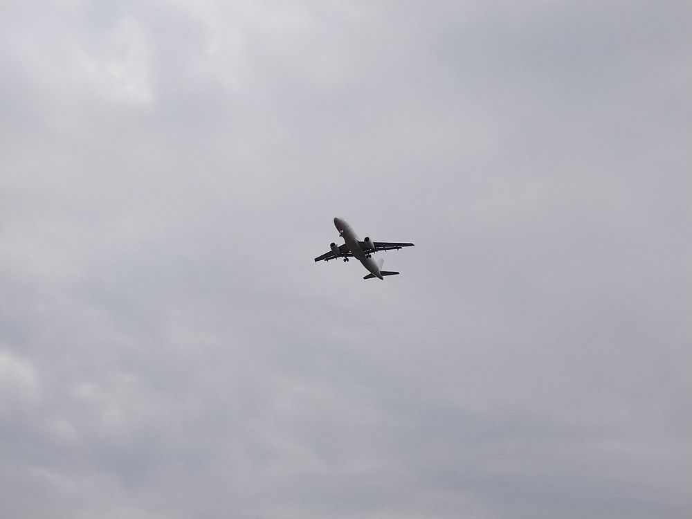 Фотография автора Danica Utjesinovic