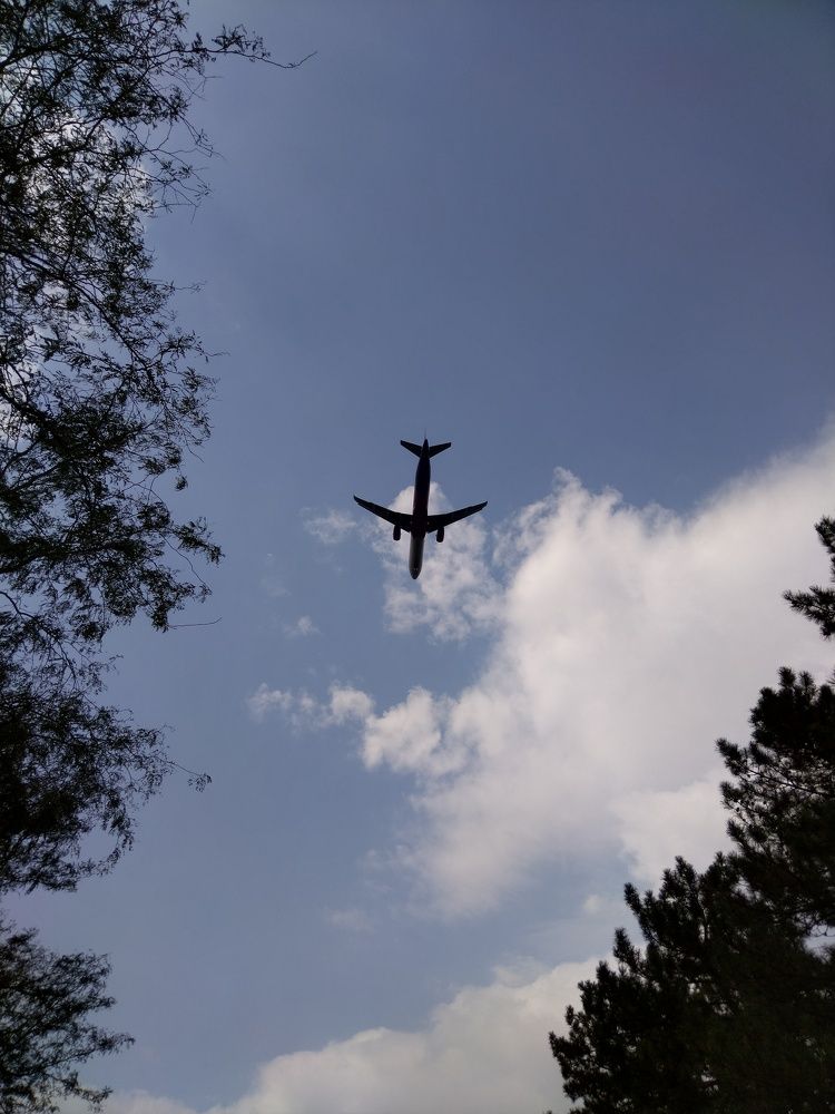 Фотография автора Danica Utjesinovic