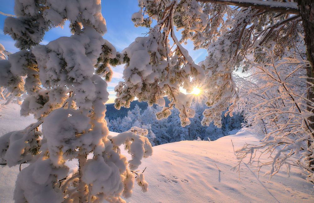 Photograph by Игорь Тымчук