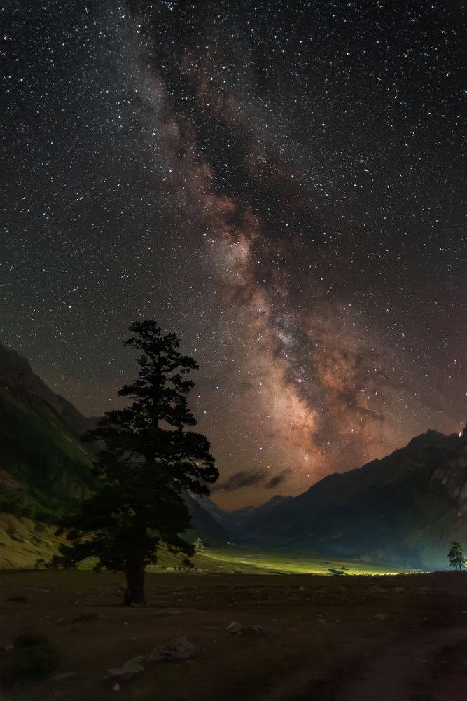 Одинокая сосна в Марухском ущелье