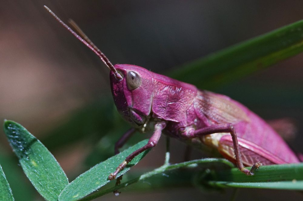 Photograph by Лена Максимкина