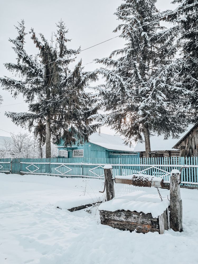 Photograph by Елена