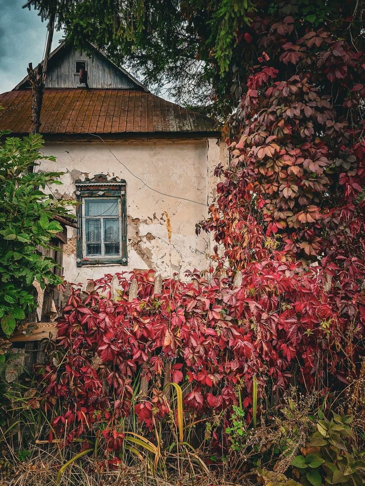 Photograph by Елена