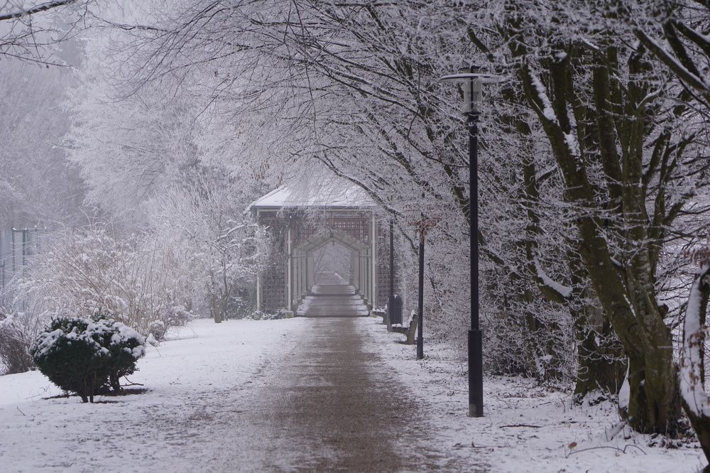 Фотография автора Liudmila Kiermeier