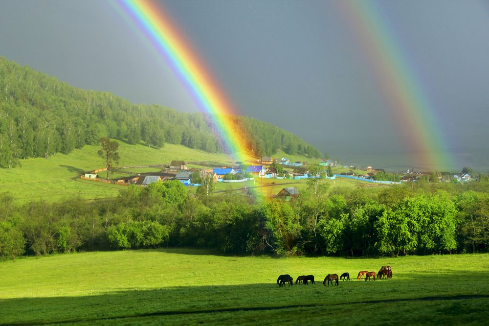 Photograph by Андрей Стародубцев