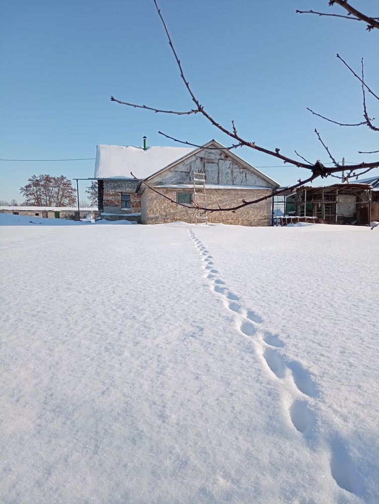 Photograph by Елена Попова