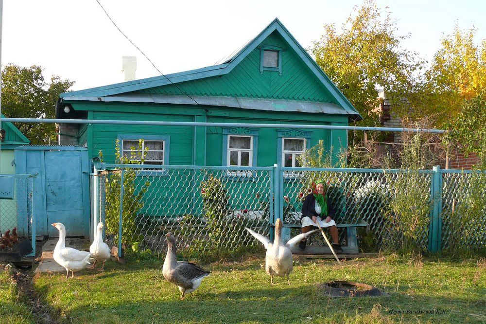 Фотография автора Клавдия Васильева