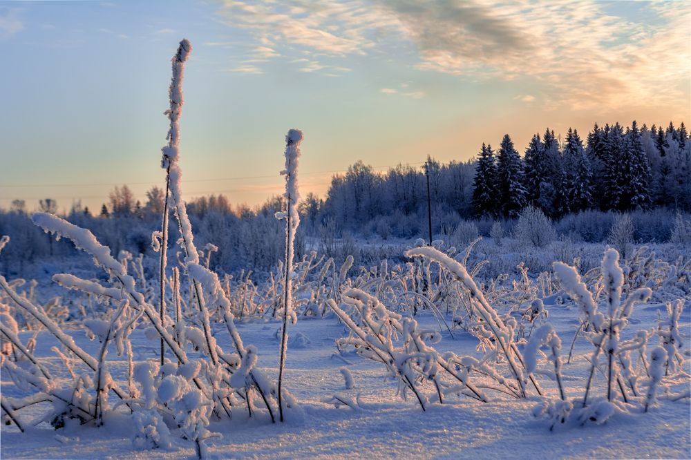 Photograph by Глеб Обуховский