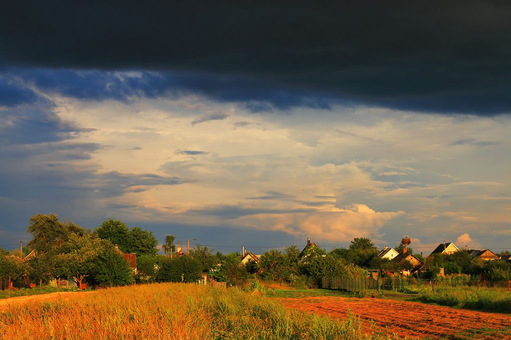 Photograph by Николай Протасеня