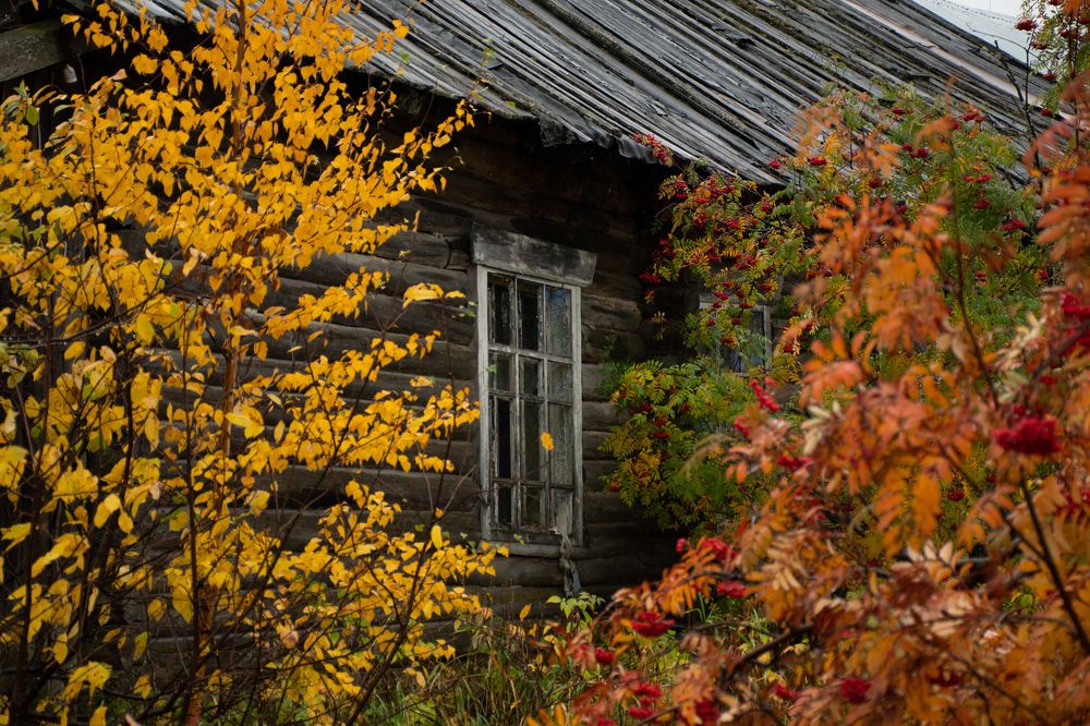 Photograph by Юлия