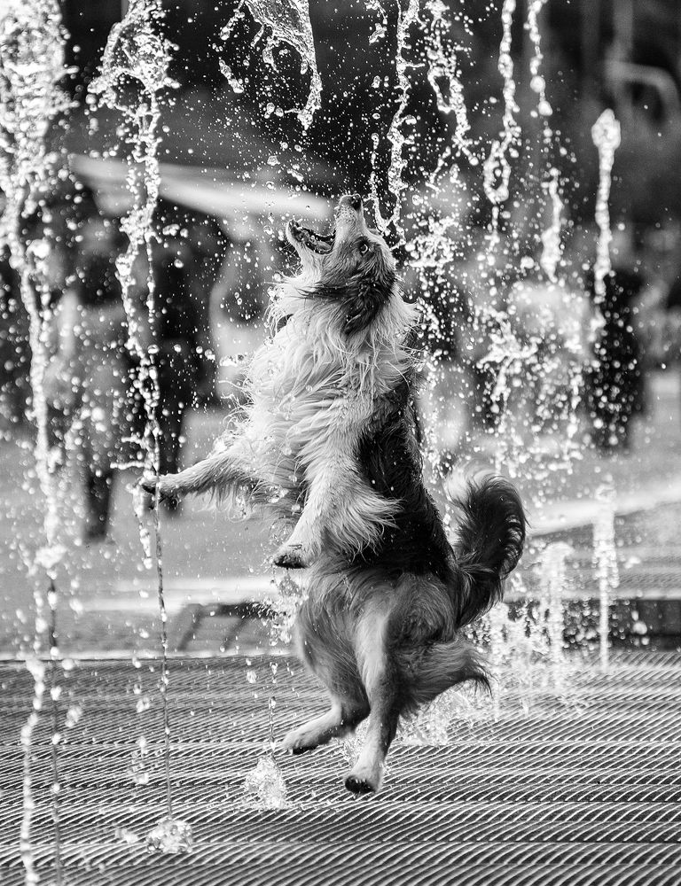 Photograph by Roman_J