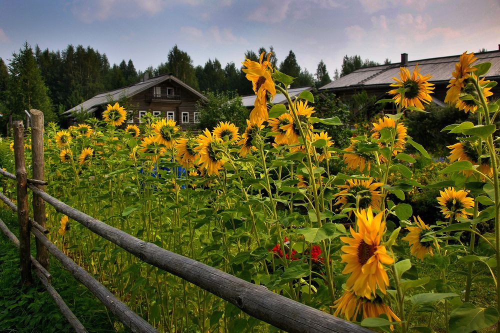 Photograph by Игорь Овсиенко