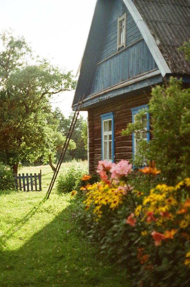 Photograph by Василий Селиванов