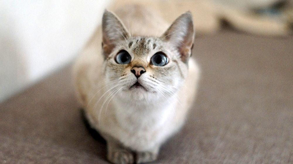 Photograph by Юля Хатыпова