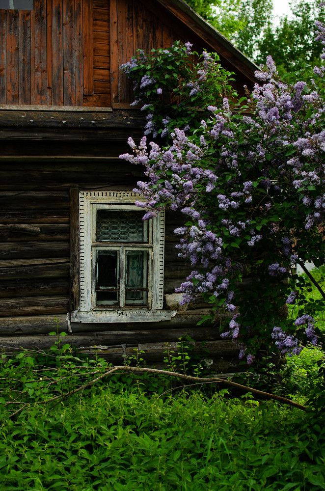 Photograph by Анастасия Тихомирова