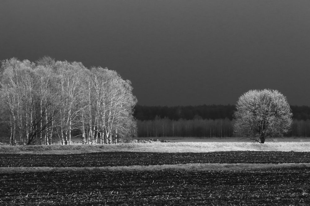 Photograph by Николай Протасеня