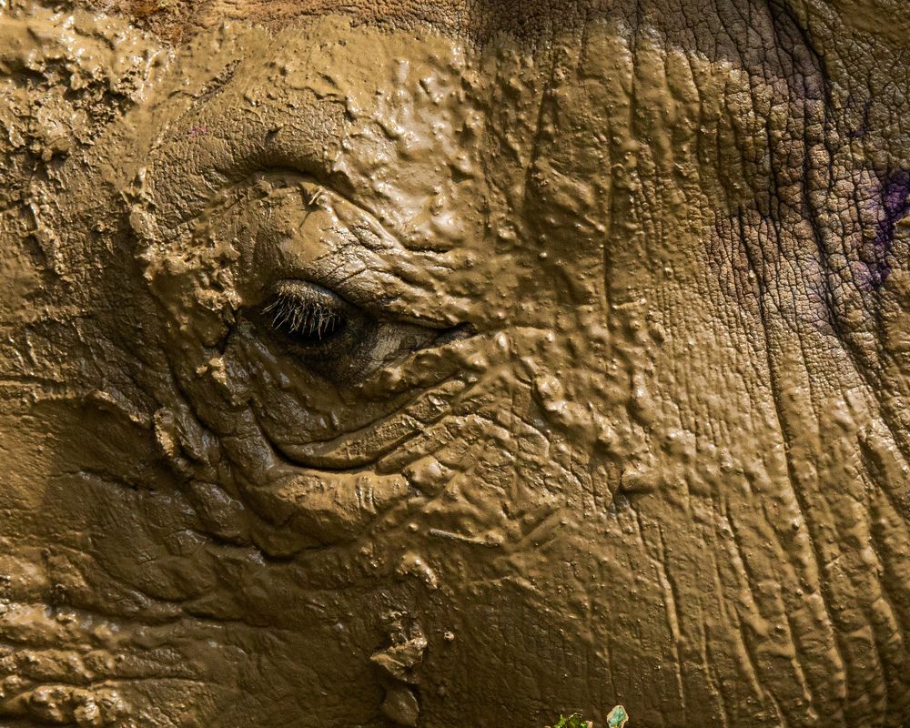 Photograph by james wasswa