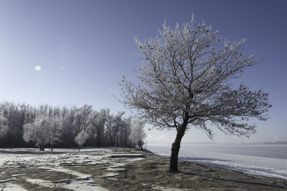 Photograph by Ольга Салтыкова