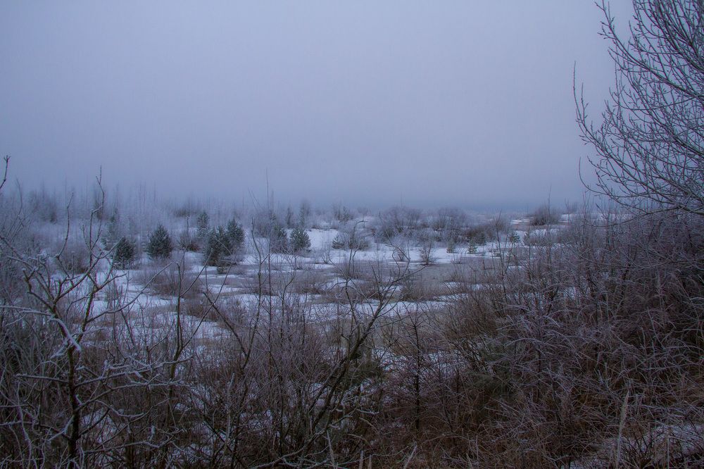 Photograph by Дмитрий Селицкий