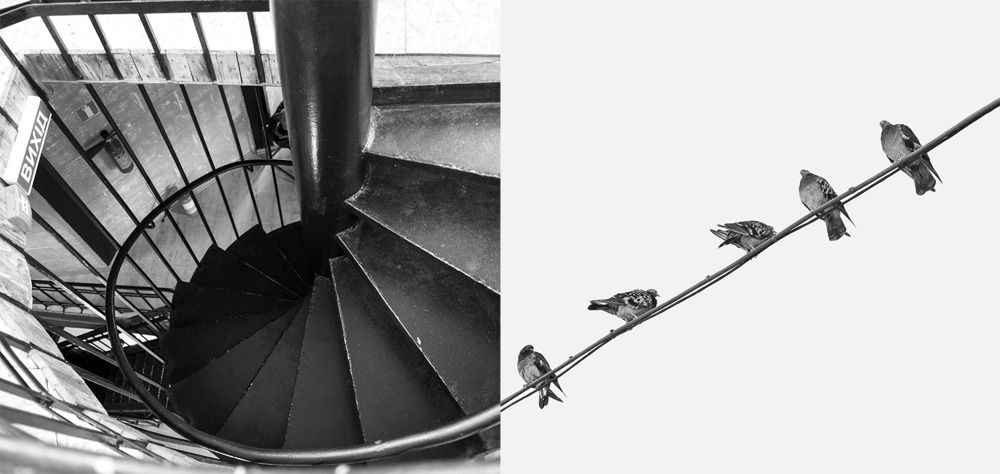 Прилетели...