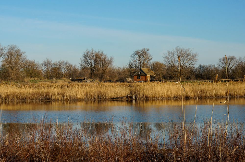 Photograph by Олег Алексеев