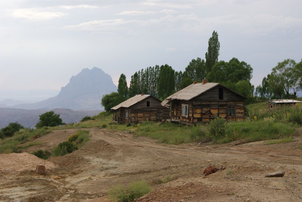 Photograph by Наталья Снеговая