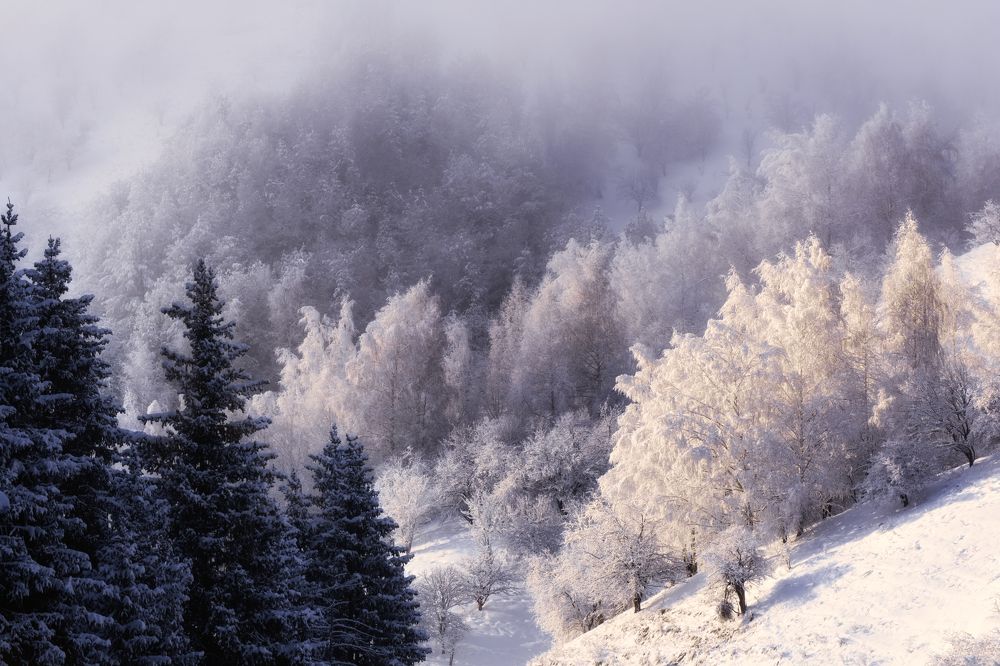 Photograph by Светлана Краюшкина