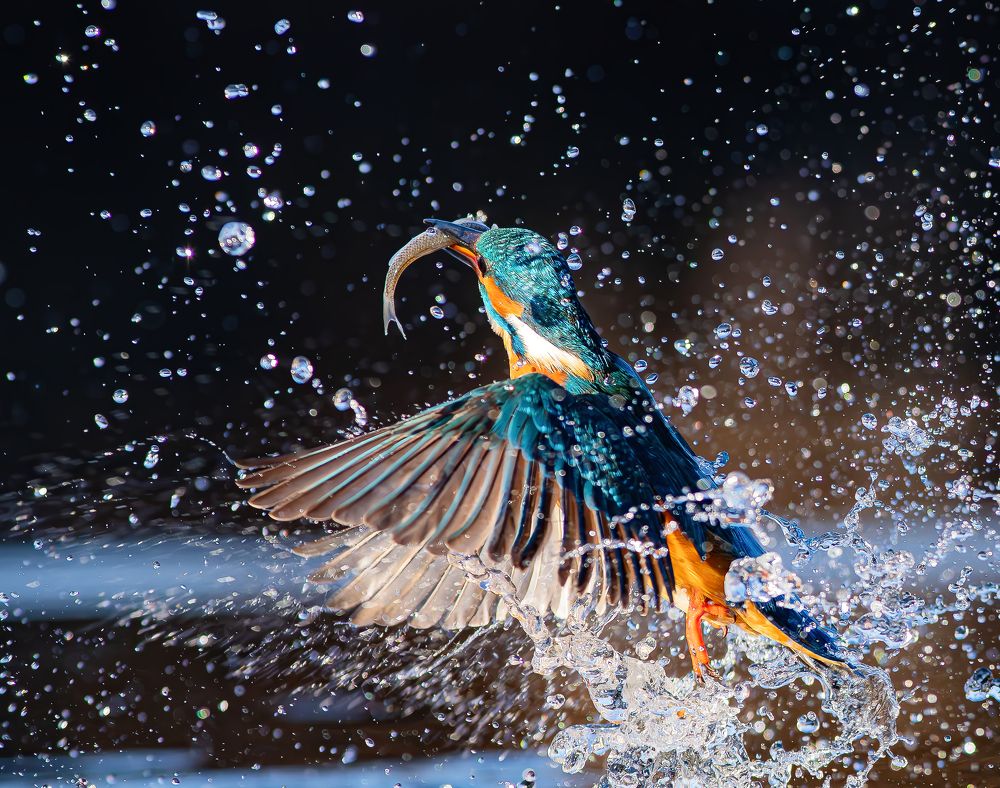 Photograph by Erika Katics