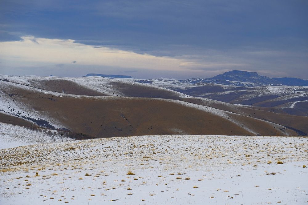 Photograph by Дмитрий Руденко