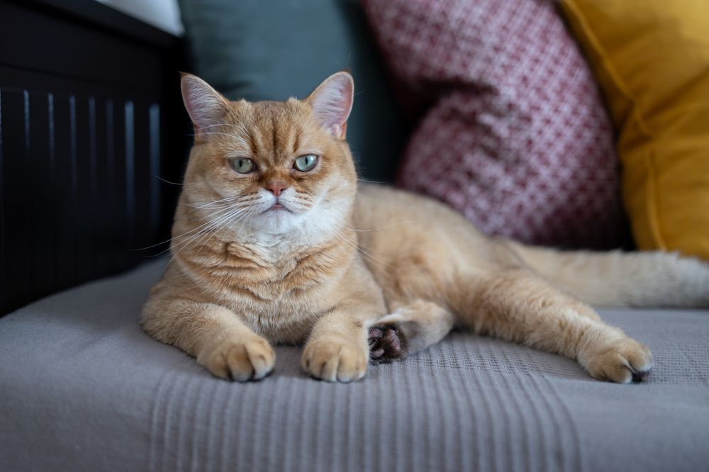 Photograph by Олег Дорошенко