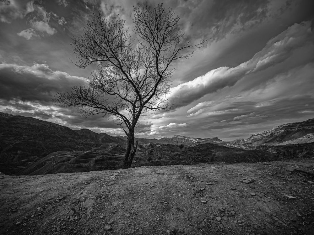 Photograph by Konstantin Martynov