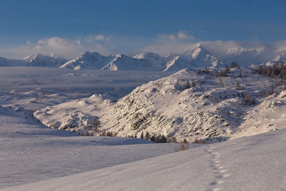 Photograph by Игорь Щербаков