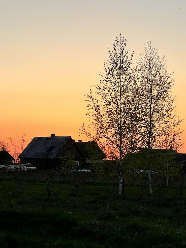 Photograph by Елена Зенкевич