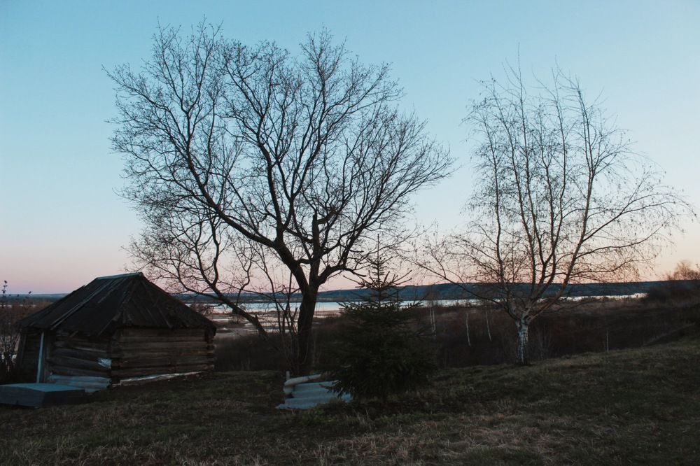 Photograph by Диана Кучумова