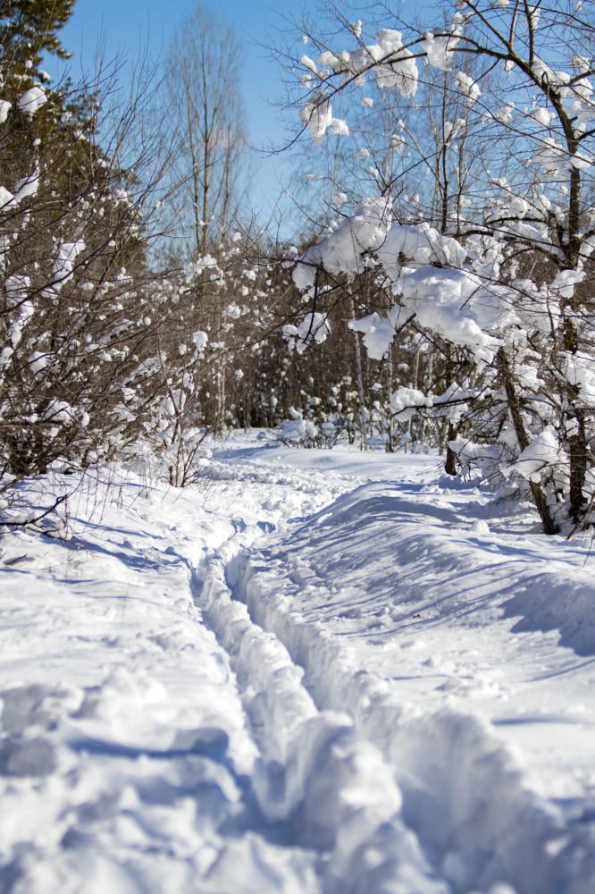 Photograph by Дмитрий Тимин