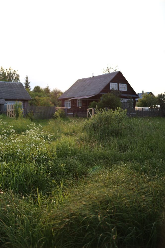 Photograph by Анастасия Оленченко