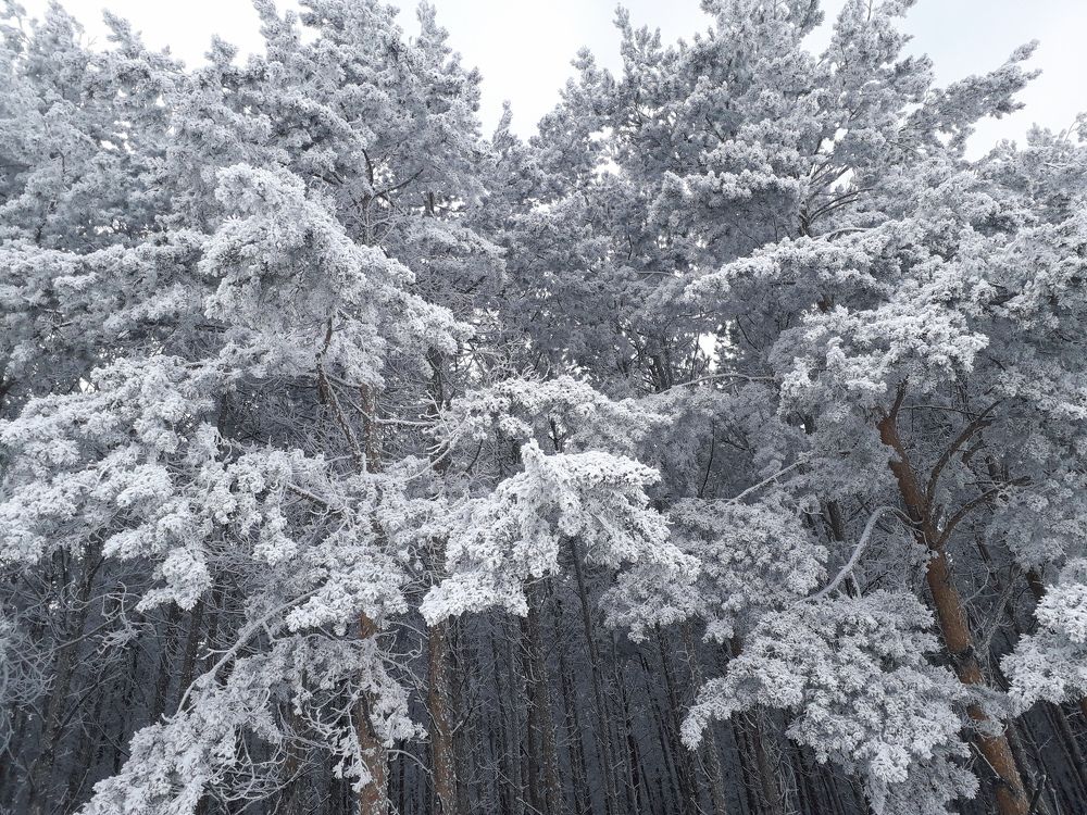 Photograph by Диана Кучумова