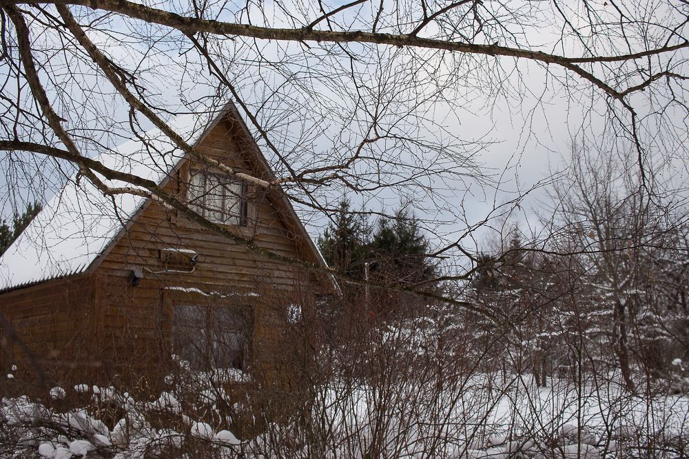 Photograph by Елена Шахова