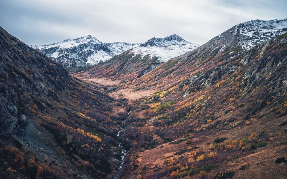 На границах зимы