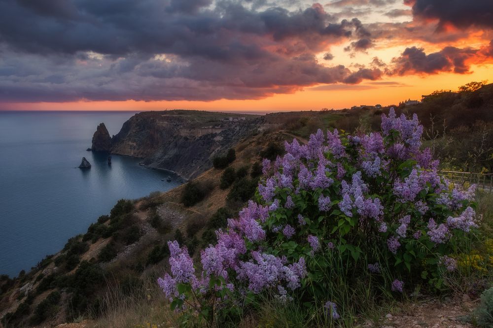 Фотография автора Дмитренко Екатерина